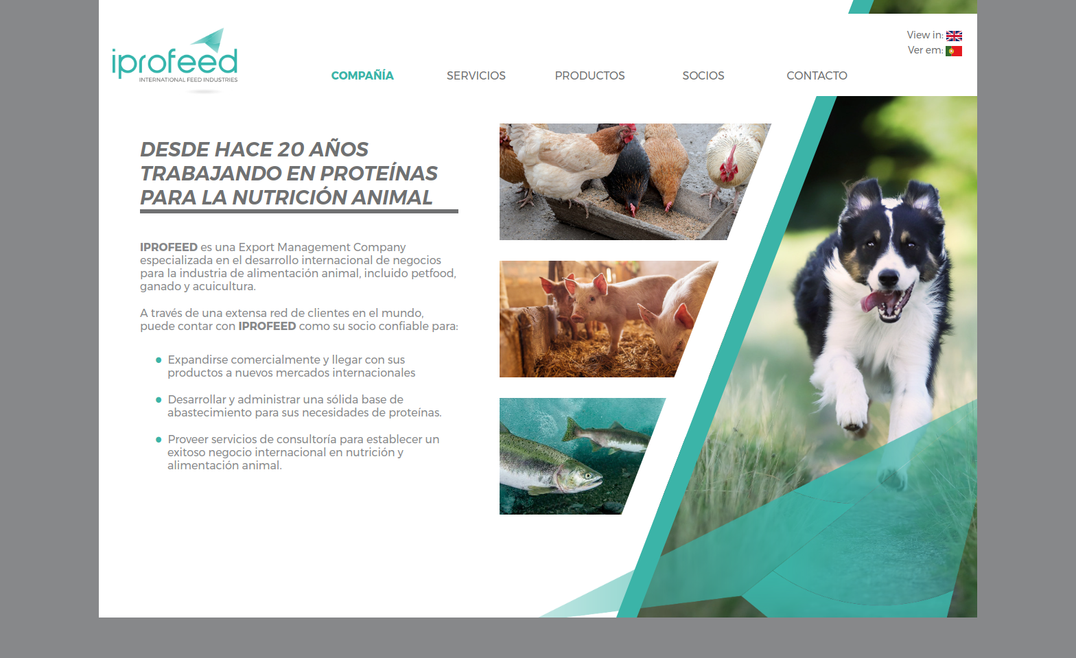 Proyecto iprofeed - Desarrollo web