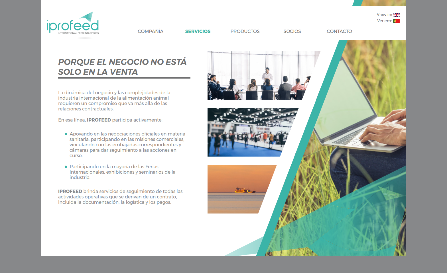 Captura de pantalla de iprofeed